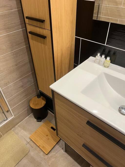 Appartement Style Chalet Standing 2 A 6 Personnes La Bourboule Extérieur photo